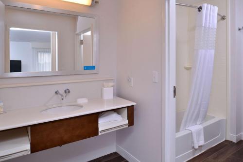 uma casa de banho com um lavatório, um espelho e um chuveiro em Hampton Inn & Suites Ann Arbor West em Ann Arbor