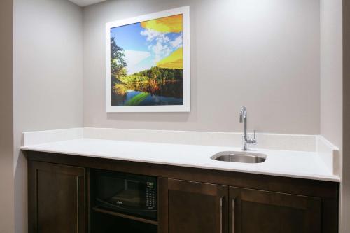 a kitchen with a sink and a picture on the wall at Hampton Inn & Suites-Hudson Wisconsin in Hudson