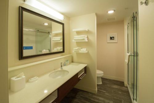 a bathroom with a sink and a mirror and a toilet at Hampton Inn & Suites Cazenovia, NY in Cazenovia