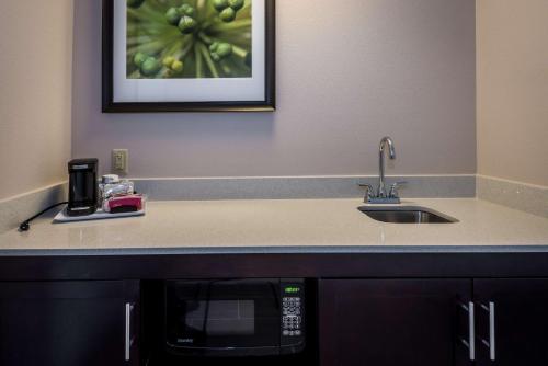 - un comptoir de cuisine avec évier et four micro-ondes dans l'établissement Hampton Inn & Suites By Hilton Hammond, In, à Hammond