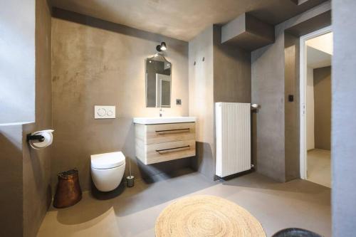 a bathroom with a toilet and a sink and a mirror at Mountain Chalet on Gut Buchwies in Oberau