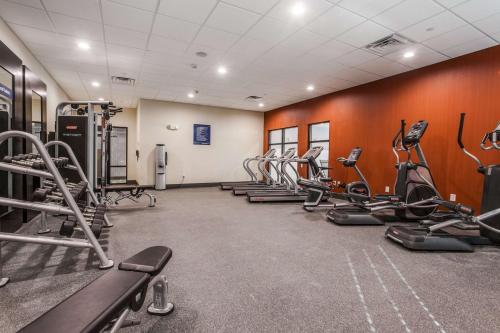 a gym with rows of treadmills and cardio machines at Hampton Inn & Suites Dallas-Central Expy/North Park Area in Dallas