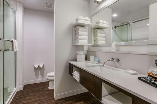 a bathroom with a sink and a toilet and a mirror at Hampton Inn & Suites Dallas-Central Expy/North Park Area in Dallas