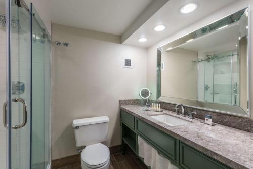 y baño con aseo, lavabo y espejo. en DoubleTree by Hilton Gainesville, en Gainesville
