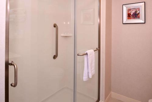 eine Dusche mit Glastür im Bad in der Unterkunft Hampton Inn & Suites Albany-East Greenbush, NY in East Greenbush