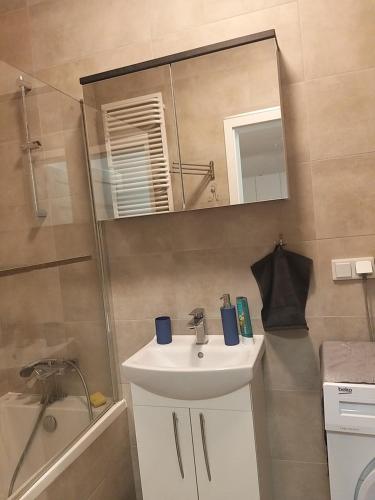 uma casa de banho com um lavatório, um chuveiro e um espelho. em Apartament Cztery Pory Roku Gdańsk em Gdańsk