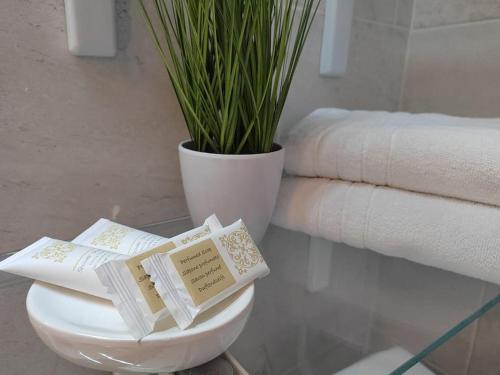 Studio apartman Tadić