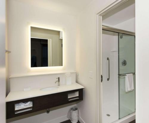 a bathroom with a sink and a mirror at Hampton Inn and Suites Minneapolis University Area, MN in Minneapolis