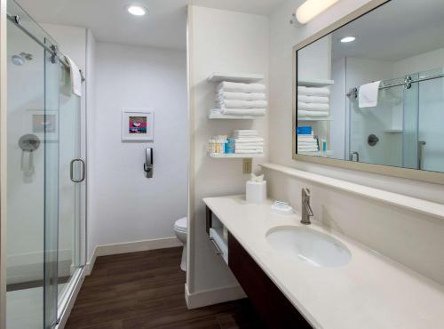 een badkamer met een wastafel, een douche en een spiegel bij Hampton Inn by Hilton New Paltz, NY in New Paltz
