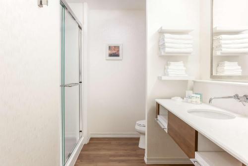 uma casa de banho com um chuveiro, um lavatório e um WC. em Hampton Inn & Suites Niles/Warren, OH em Niles