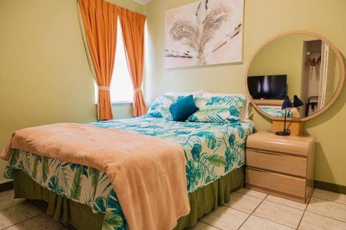 a bedroom with a bed and a mirror and a television at Blue Sky Residence Aruba in Savaneta