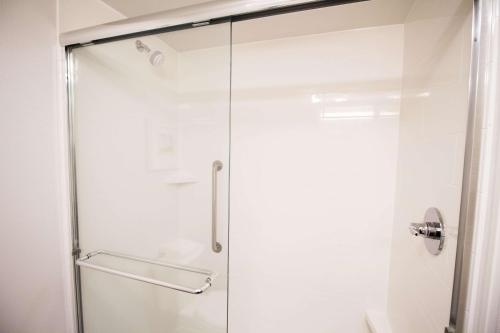 a shower with a glass door in a bathroom at Hampton Inn Decatur, Mt. Zion, IL in Decatur