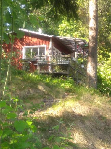 una cabaña en el bosque con árboles en Sjöstugan Bodarna Hedemora, en Hedemora