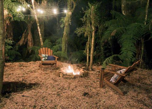 a fire pit and two chairs in a forest at night at Cabana Gato do Mato in São Francisco de Paula