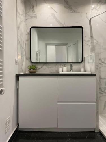 une salle de bain blanche avec un miroir et un lavabo dans l'établissement Appartement rénové plein centre d'Avignon, à Avignon