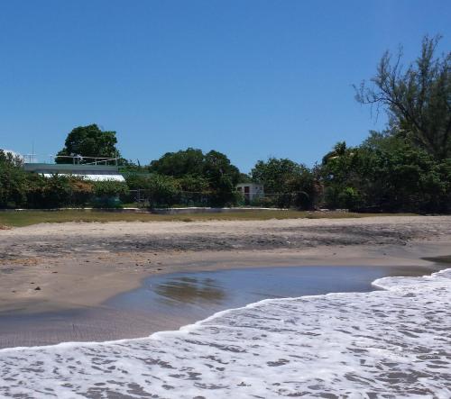 a beach covered in snow with a pool of water at Pelican's Reach in Pedro Pen