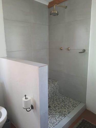 a white bathroom with a shower and a toilet at Mzila Forest Creek in Maanhaarrand