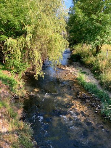 a river with trees on the side of it at Au numéro 12 in Courchavon