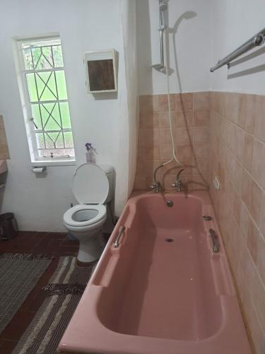 a pink bath tub in a bathroom with a toilet at Mzila Forest Creek in Maanhaarrand