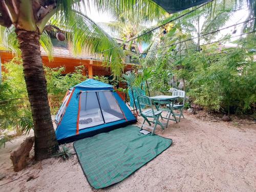 a tent on the beach with a table and chairs at New Village Lodge in Oslob