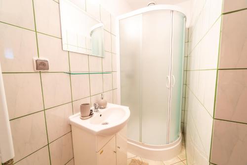 biała łazienka z umywalką i prysznicem w obiekcie Miodowe Łoże w mieście Woźnice