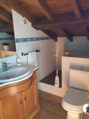 a bathroom with a sink and a toilet at Casa barrio el Reloj - Lastres in Lastres