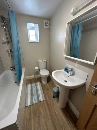 a bathroom with a sink and a toilet and a mirror at Executive Barchester House Apartment in Salisbury