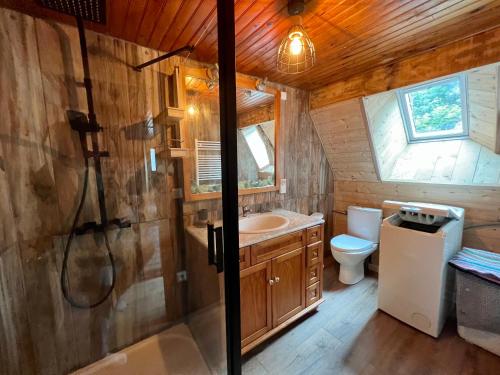 a bathroom with a shower and a sink and a toilet at Maison reposante in Saint-Alyre-ès-Montagne