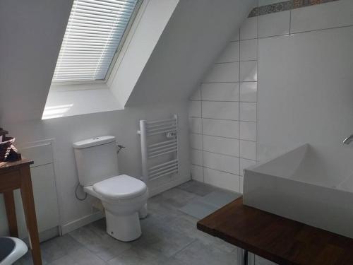 a bathroom with a toilet and a sink and a window at Maison avec jardin clos dans cité de caractère in La Roche-Derrien
