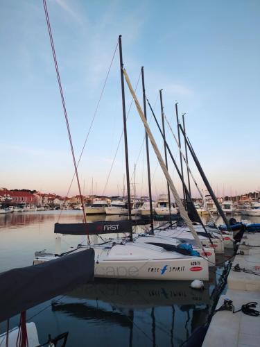 a group of sailboats are docked in a marina at Villa Ines in Jezera