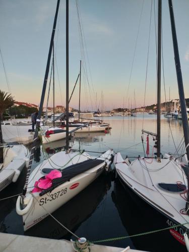 a group of sailboats are docked in a harbor at Villa Ines in Jezera