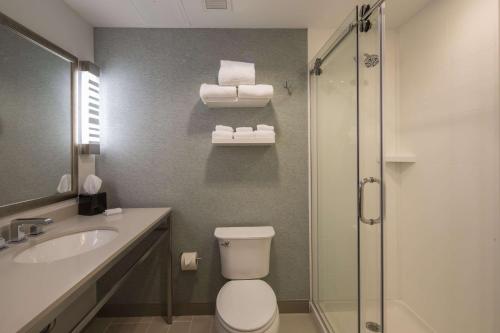 La salle de bains est pourvue de toilettes, d'un lavabo et d'une douche. dans l'établissement Hilton Garden Inn Pittsburgh Airport, à Moon Township