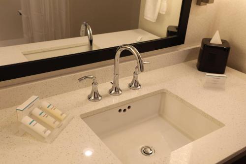 a bathroom counter with a sink and a mirror at Hilton Garden Inn Austin Airport in Austin