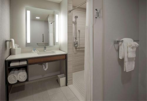 bagno con lavandino, specchio e doccia di Hilton Garden Inn Wausau, WI a Wausau