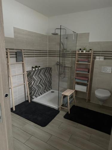 a bathroom with a shower and a toilet at Apartmán in Nezdenice