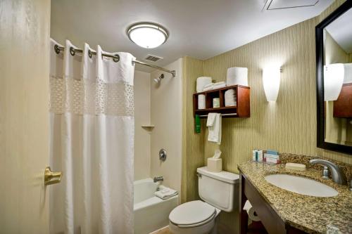 ein Bad mit einem WC, einem Waschbecken und einer Dusche in der Unterkunft Hampton Inn Fairmont in Fairmont