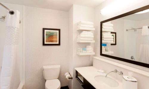 a bathroom with a toilet and a sink and a mirror at Hampton Inn & Suites Duluth North Mn in Duluth