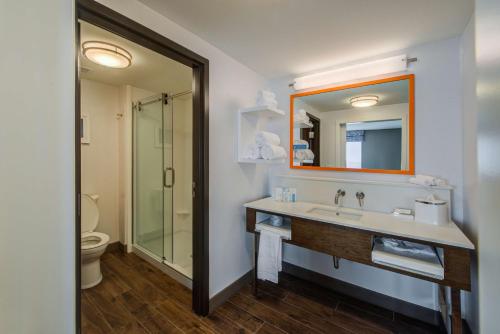 a bathroom with a sink and a toilet and a mirror at Hampton Inn & Suites Wixom/Novi/Detroit, Mi in Wixom