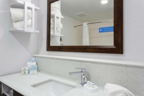 a bathroom with a sink and a mirror at Hampton Inn and Suites Jacksonville/Orange Park, FL in Orange Park