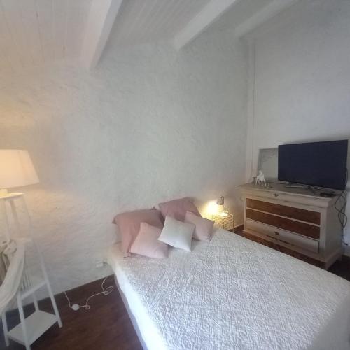 1 dormitorio con 1 cama con almohadas rosas y TV en Maison de charme, raffinée dans village historique, en Vervant