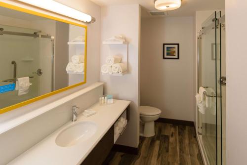La salle de bains est pourvue d'un lavabo, de toilettes et d'un miroir. dans l'établissement Hampton Inn Superior Duluth, Wi, à Superior