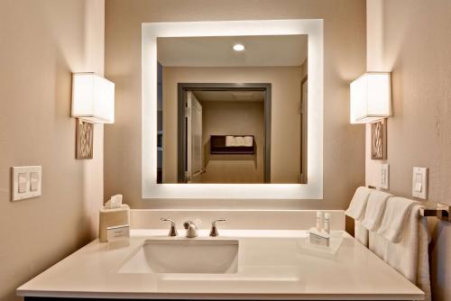 a bathroom with a sink and a large mirror at Homewood Suites By Hilton New Orleans West Bank Gretna in Gretna