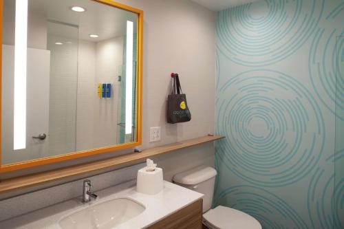Tru By Hilton Farmville Va في فارم فيل: حمام مع حوض ومرحاض ومرآة