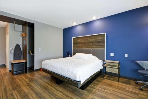 um quarto com uma cama e uma parede azul em Tru By Hilton Sumter em Sumter