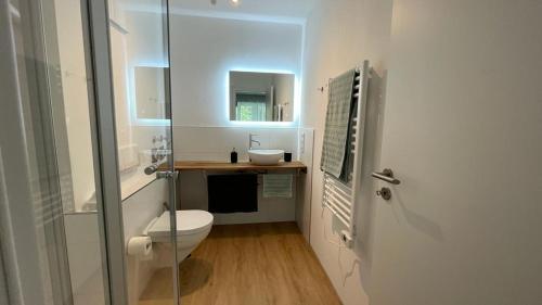a bathroom with a toilet and a sink and a mirror at Wohlfühlen im Herzen von Schopfheim in Schopfheim
