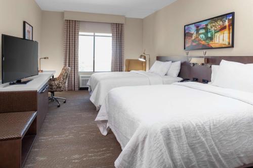 韦科Hilton Garden Inn Waco的一间有两张床和一台平板电视的酒店房间