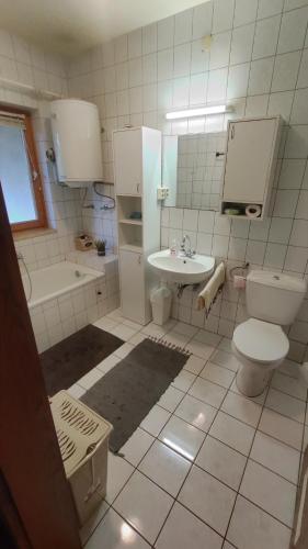 y baño con aseo y lavamanos. en Rigó Nyaralóház, en Lakitelek