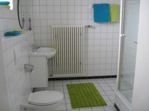 ein Bad mit einem WC, einem Waschbecken und einer Dusche in der Unterkunft Ferienwohnung Damkröger in Lindau