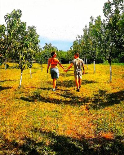 a man and woman walking through a field holding hands at Sunny Side Fruska Gora- apartman A in Velika Remeta