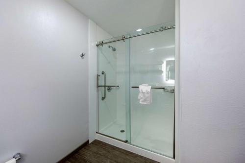 a bathroom with a shower with a glass door at Hampton Inn & Suites Ruidoso Downs in Ruidoso Downs